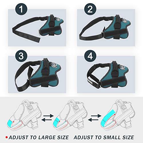 Bolux Medium Dog Harness - No-Pull Reflective Vest with Handle for Walking (Turquoise, M)