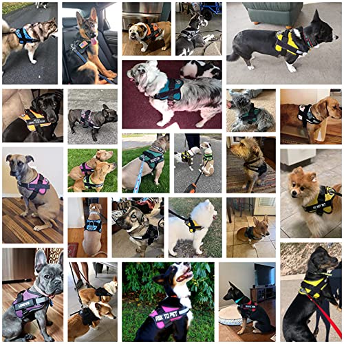 Bolux No-Pull Reflective Dog Harness for Large Dogs, Adjustable Vest with Handle, Purple, L