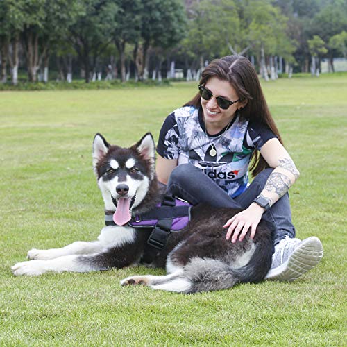 Bolux No-Pull Reflective Dog Harness for Large Dogs, Adjustable Vest with Handle, Purple, L