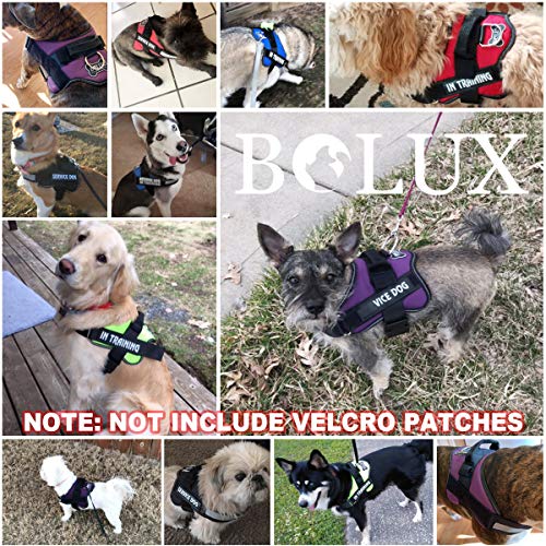 Bolux No-Pull Reflective Dog Harness for Large Dogs, Adjustable Vest with Handle, Purple, L