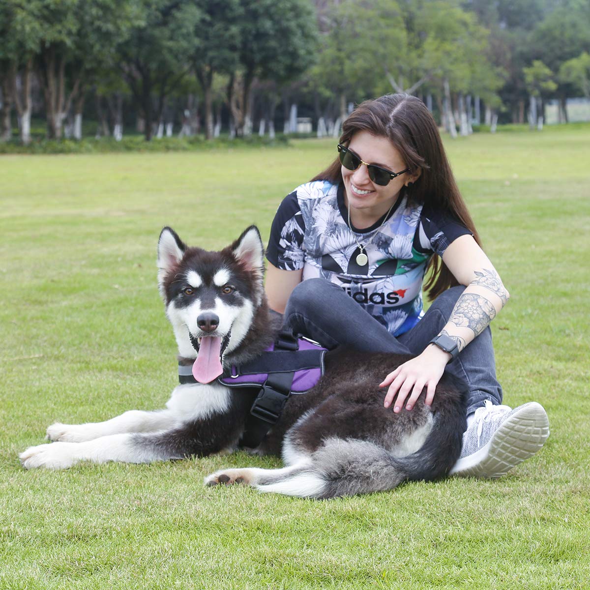 Bolux No-Pull Reflective Dog Harness for Large Dogs, Adjustable Vest with Handle, Purple, L