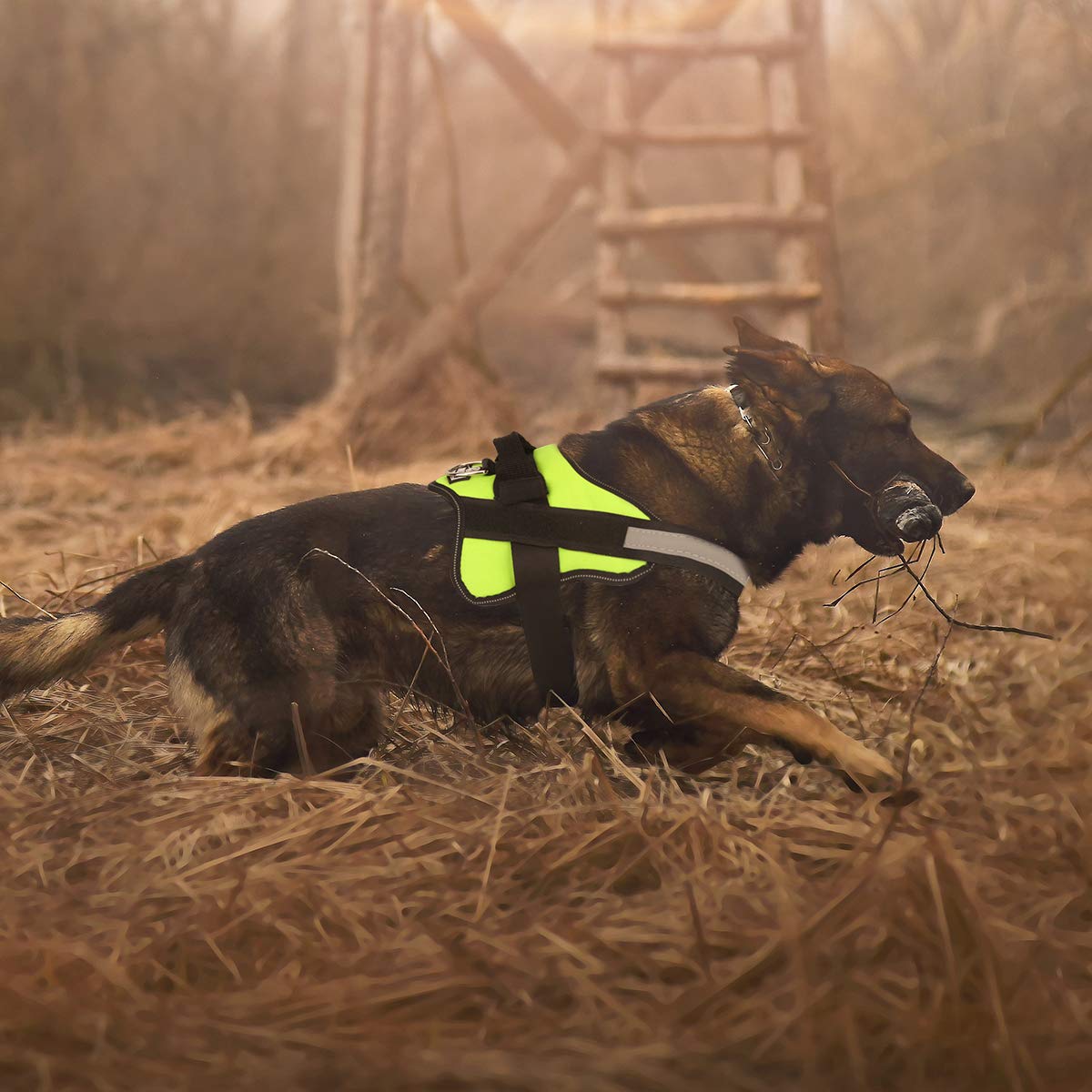 Bolux No-Pull Reflective Dog Harness for Medium Dogs - Green, Size M
