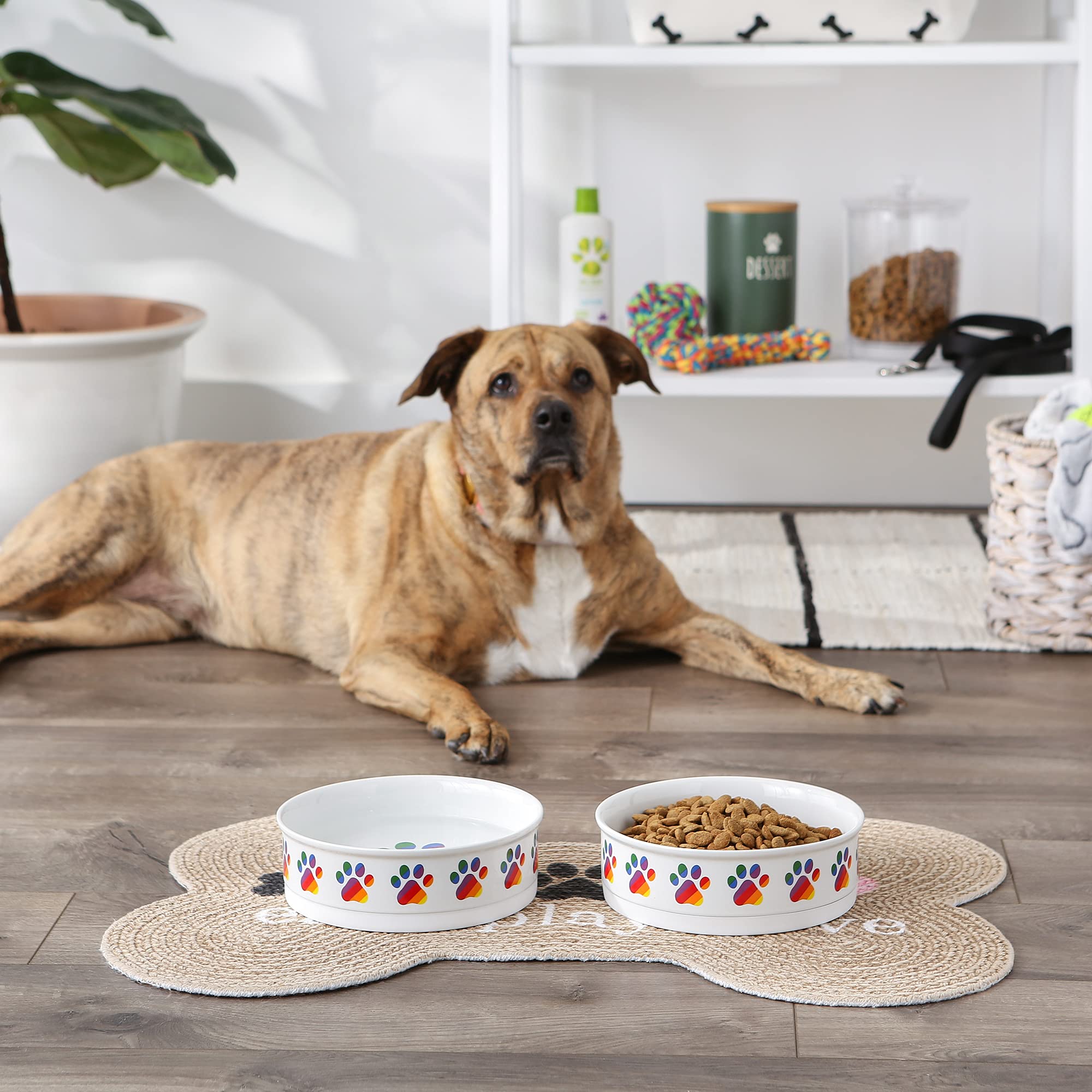 Bone Dry Ceramic Pet Bowls – Non-Slip, Dishwasher Safe, Rainbow Paw Design (2-Pack, Large 7.5x2.4 inches)