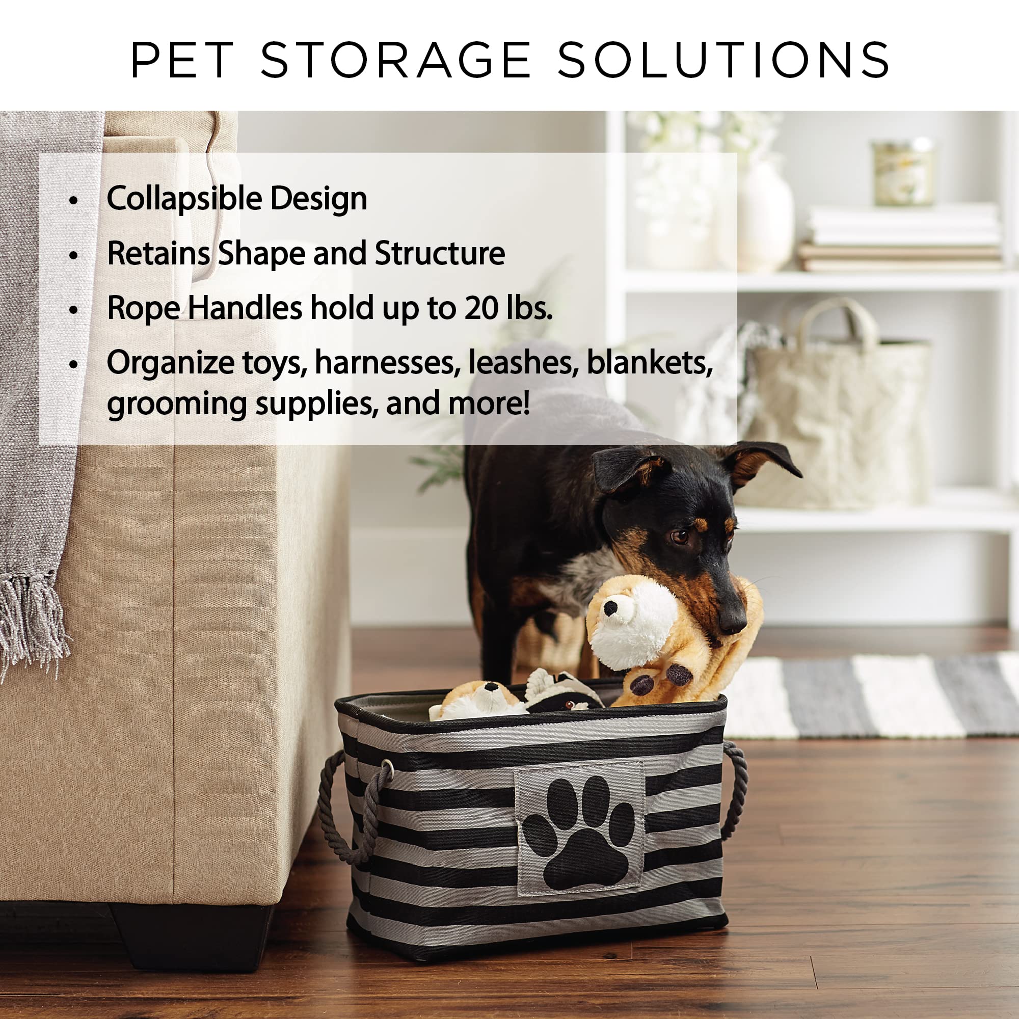Bone Dry Pet Storage Bin, Medium Rectangle 16x10x12, Dark Brown with Paw and Bone Print