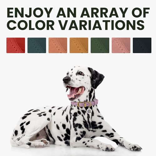 BronzeDog Rolled Leather Dog Collar - Soft Waxed Round Design for Long-Haired Breeds (Blush, 14-16 inch)