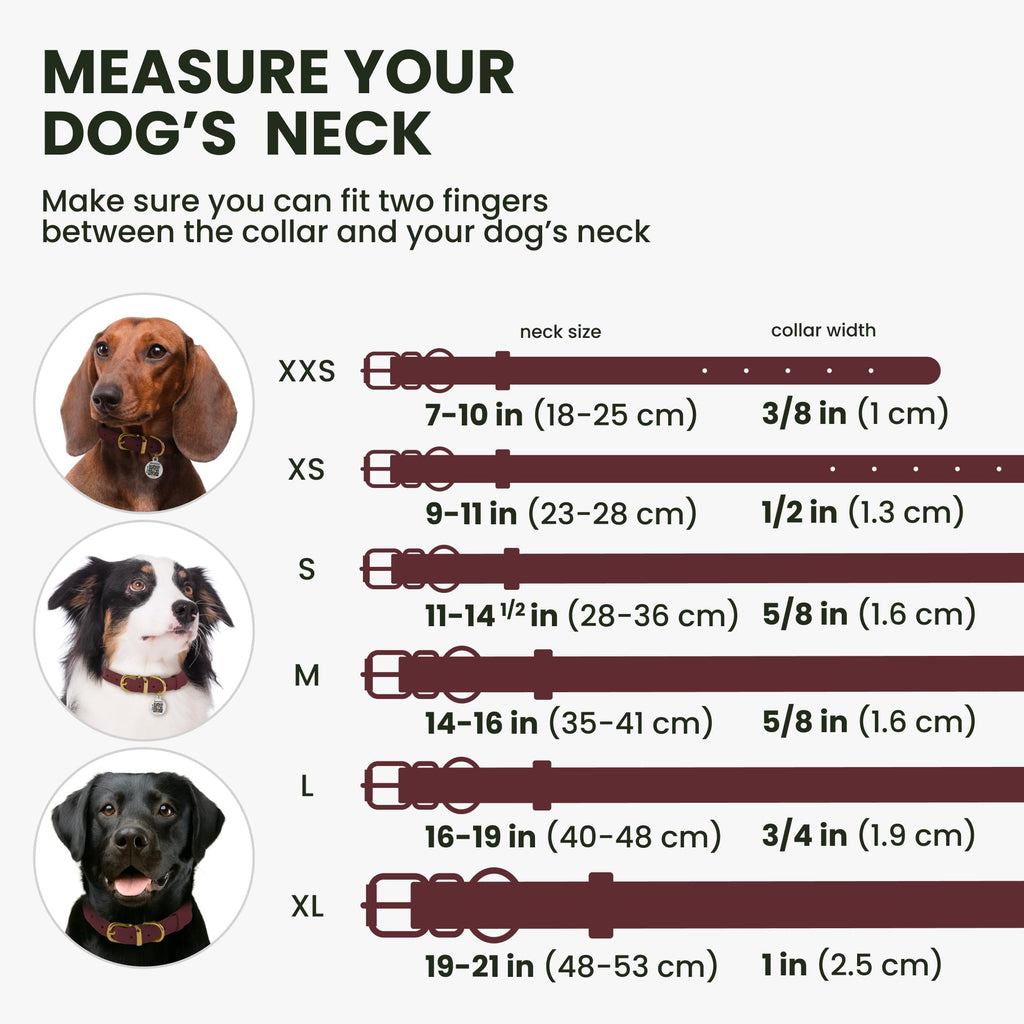 BronzeDog Rolled Leather Dog Collar – 14-16 Inch Neck Size, Burgundy, Anti-Tangle Design