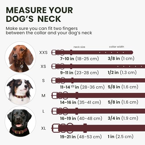 BronzeDog Rolled Leather Dog Collar – 14-16 Inch Neck Size, Burgundy, Anti-Tangle Design