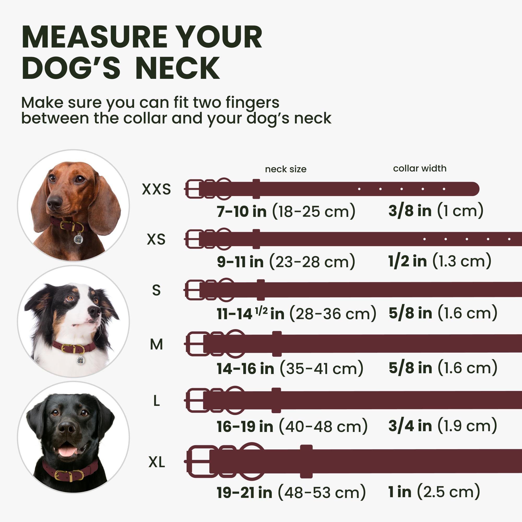 BRONZEDOG Rolled Leather Dog Collar – Burgundy, 16-19 Inch Neck, 3/4" Width, Crazy Horse Waxed Leather