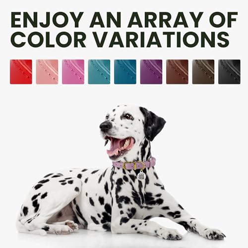 BRONZEDOG Rolled Leather Dog Collar – Coffee Brown, 16-18 Inch Neck, 3/4" Width, Genuine Leather with QR-ID Tag for Long-Haired Dogs