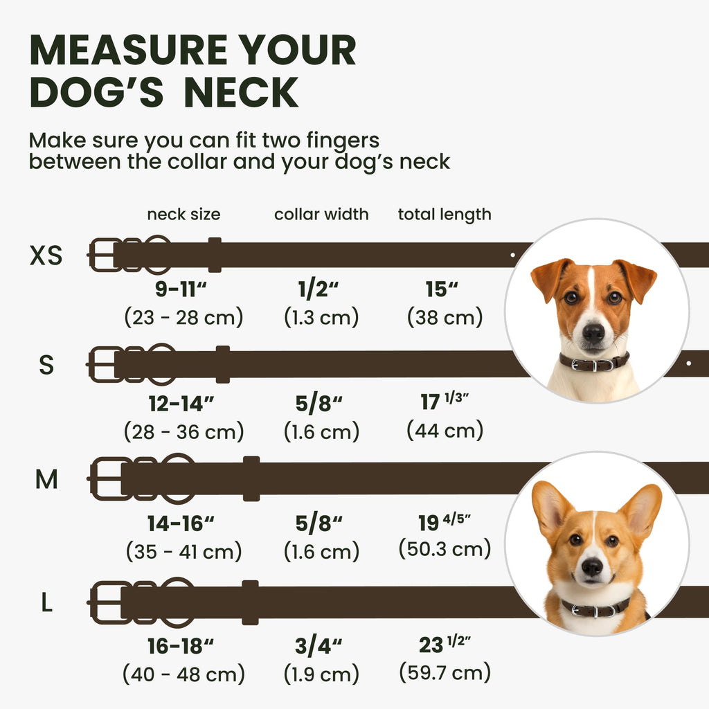 BRONZEDOG Rolled Leather Dog Collar – Coffee Brown, 16-18 Inch Neck, 3/4" Width, Genuine Leather with QR-ID Tag for Long-Haired Dogs