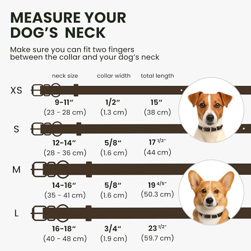 BRONZEDOG Rolled Leather Dog Collar – Coffee Brown, 16-18 Inch Neck, 3/4" Width, Genuine Leather with QR-ID Tag for Long-Haired Dogs