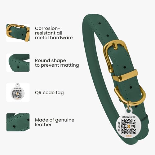 BronzeDog Rolled Leather Dog Collar – Emerald Green, 5/8'' Wide, 14-16 Inch Neck, with QR ID Tag