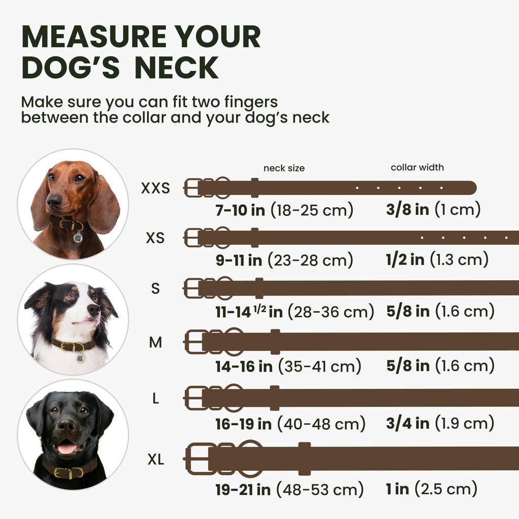 BronzeDog Rolled Leather Dog Collar – Soft Waxed Leather, Prevents Tangling, for Small to Large Dogs (16-19 Inch Neck, Brown)