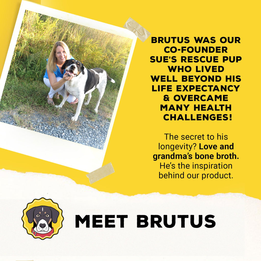 Brutus Broth Chicken Bone Broth Dog Food Topper - Powder, 3.5 oz - Supports Hips & Joints