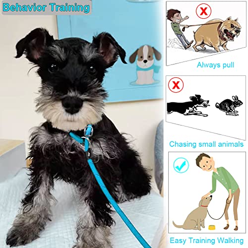 BTINESFUL 20ft Blue Reflective Slip Lead Dog Leash – Long Training Rope for Small & Medium Dogs