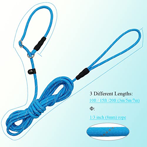 BTINESFUL 20ft Blue Reflective Slip Lead Dog Leash – Long Training Rope for Small & Medium Dogs
