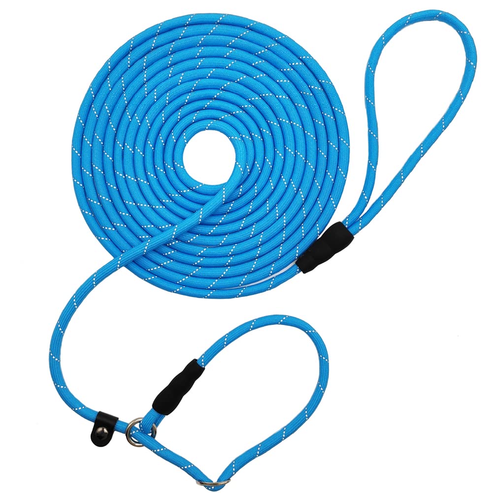 BTINESFUL 20ft Blue Reflective Slip Lead Dog Leash – Long Training Rope for Small & Medium Dogs