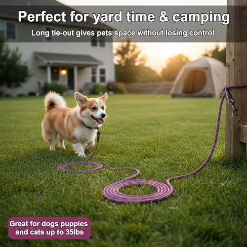 BTINESFUL 30ft Reflective Dog Tie Out – Lightweight Nylon Tether for Small Dogs up to 35 lbs