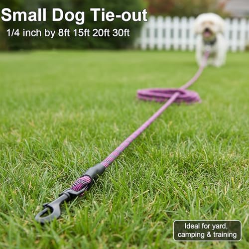 BTINESFUL 30ft Reflective Dog Tie Out – Lightweight Nylon Tether for Small Dogs up to 35 lbs