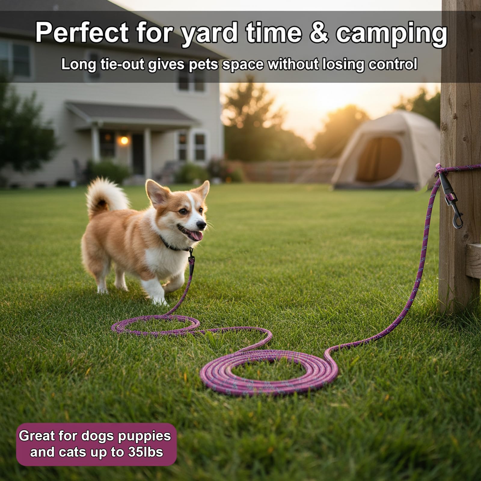 BTINESFUL 30ft Reflective Dog Tie Out – Lightweight Nylon Tether for Small Dogs up to 35 lbs