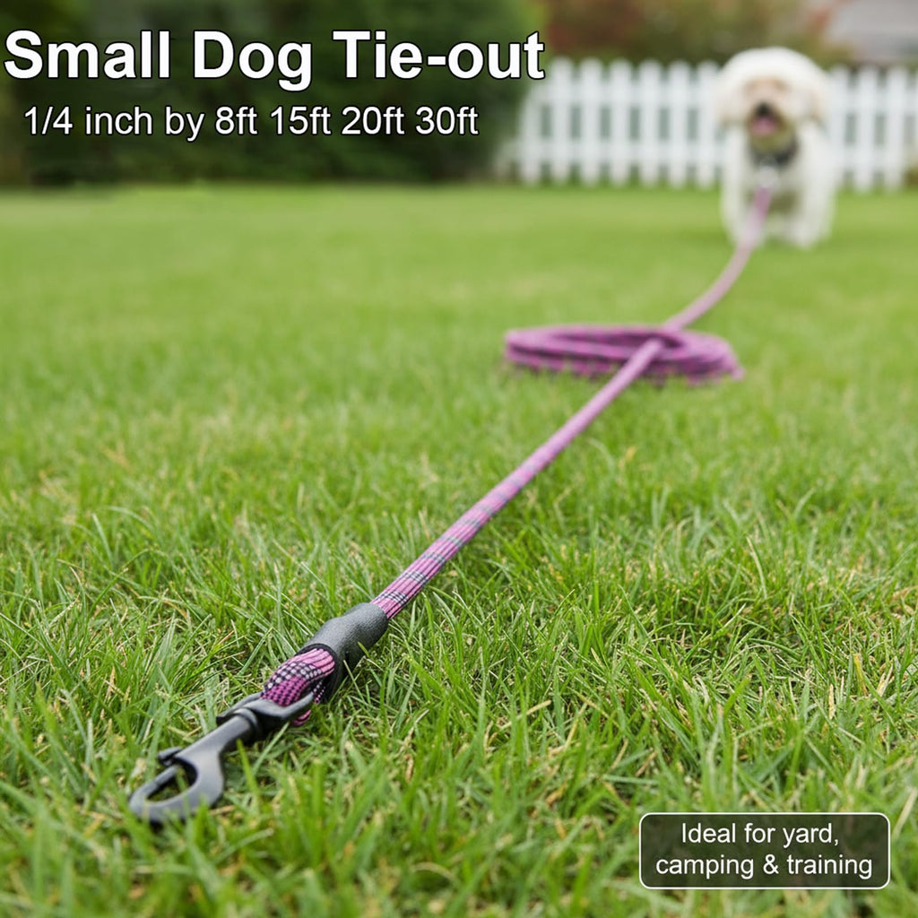 BTINESFUL 30ft Reflective Dog Tie Out – Lightweight Nylon Tether for Small Dogs up to 35 lbs