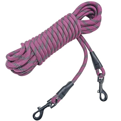 BTINESFUL 30ft Reflective Dog Tie Out – Lightweight Nylon Tether for Small Dogs up to 35 lbs