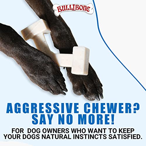 Bullibone Spin-a-Bone Nylon Dog Chew Toy – Rotating Interactive Toy for Small/Medium Dogs, Peanut Butter Flavor