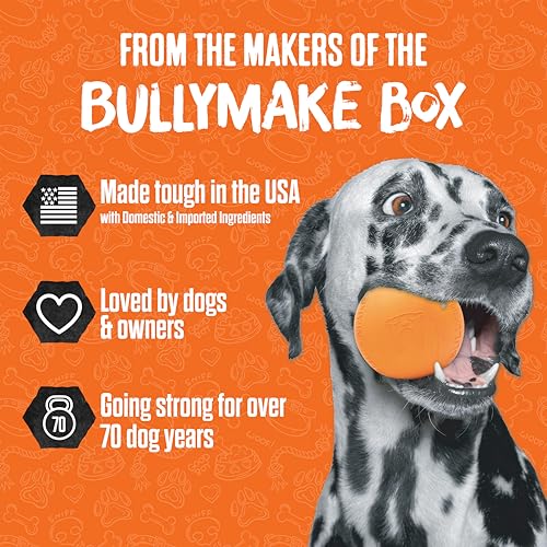 BULLYMAKE Red Tough Chew Steak Toy – Durable Nylon Dog Toy for Aggressive Chewers, Made in USA