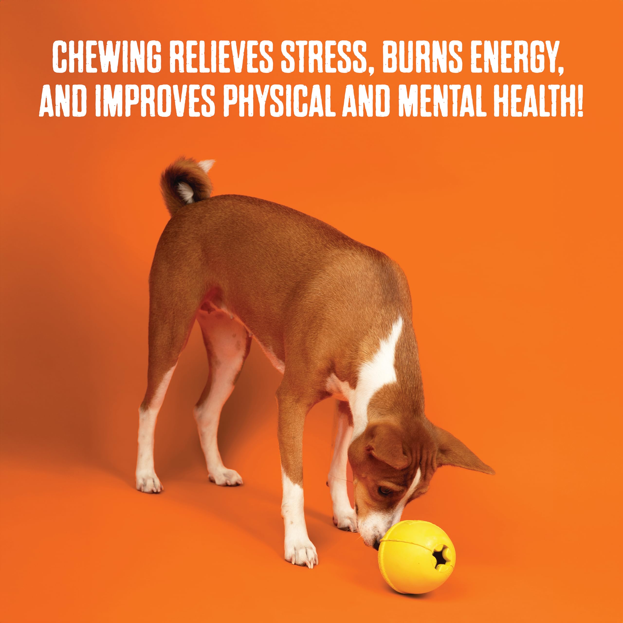 BULLYMAKE Red Tough Chew Steak Toy – Durable Nylon Dog Toy for Aggressive Chewers, Made in USA