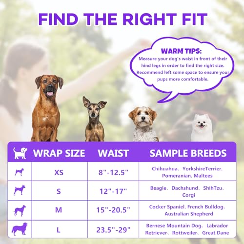 BURVAGY 50 Count Disposable Male Dog Wraps, X-Small: Leak-Proof Belly Bands with Wetness Indicator