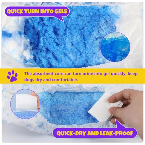 BURVAGY 50 Count Disposable Male Dog Wraps, X-Small: Leak-Proof Belly Bands with Wetness Indicator