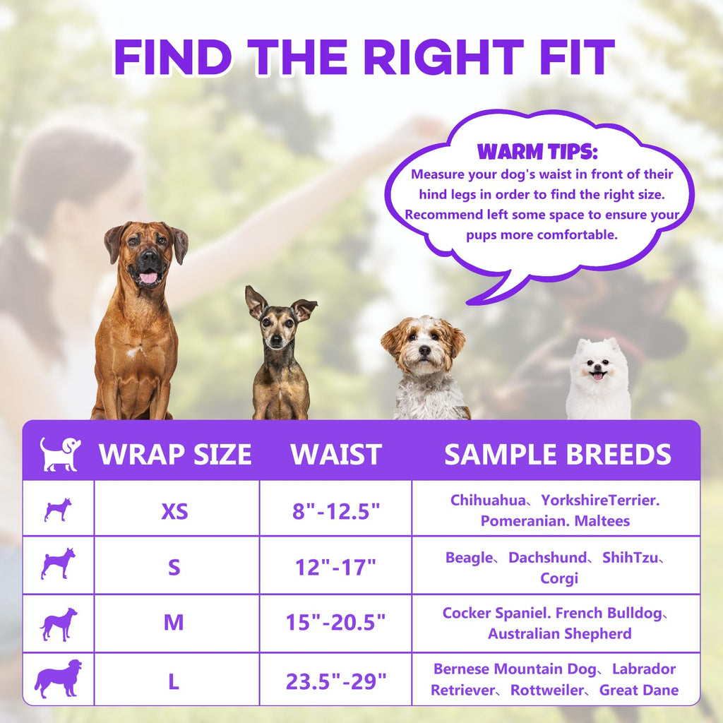 BURVAGY 50 Count Disposable Male Dog Wraps, X-Small: Leak-Proof Belly Bands with Wetness Indicator