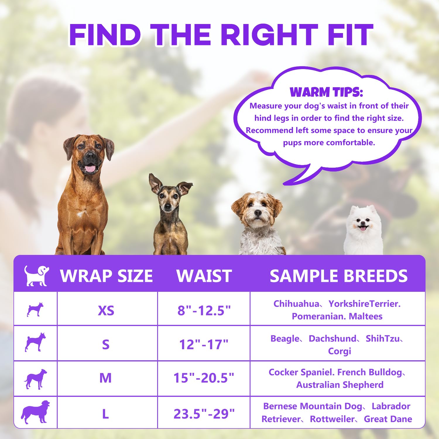 BURVAGY 50 Count Disposable Male Dog Wraps, X-Small: Leak-Proof Belly Bands with Wetness Indicator
