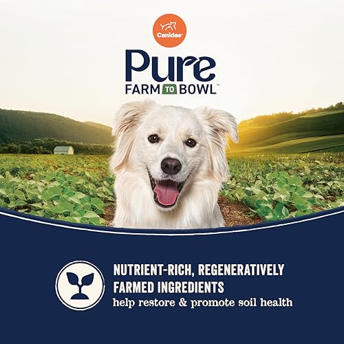 Canidae Pure Farm to Bowl Dry Dog Food – Limited Ingredient, Grain-Free Salmon & Sweet Potato Recipe, 4 lb