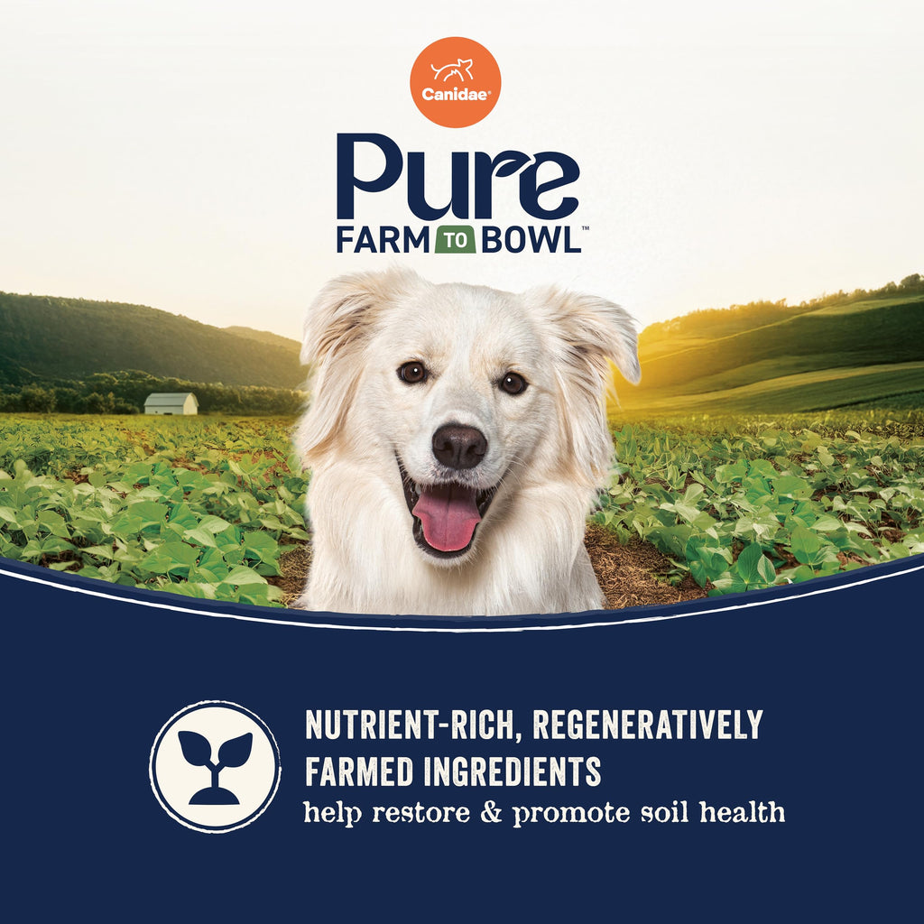Canidae Pure Farm to Bowl Dry Dog Food – Limited Ingredient, Grain-Free Salmon & Sweet Potato Recipe, 4 lb