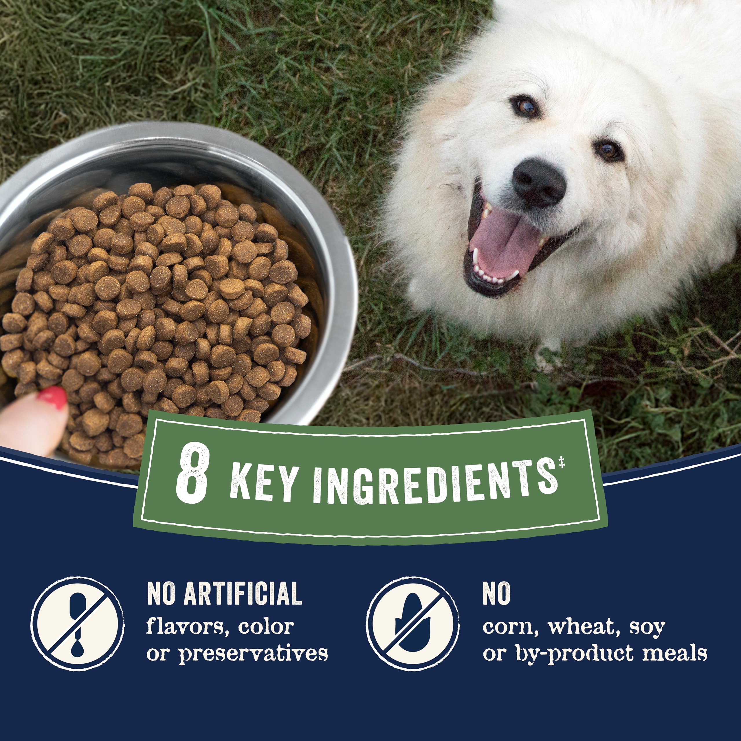 Canidae Pure Farm to Bowl Dry Dog Food – Limited Ingredient, Grain-Free Salmon & Sweet Potato Recipe, 4 lb