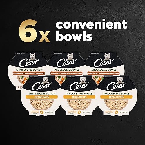 Cesar Wholesome Bowls Adult Wet Dog Food Variety Pack – Chicken & Sweet Potato, 6 Count