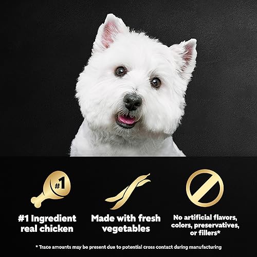 Cesar Wholesome Bowls Adult Wet Dog Food Variety Pack – Chicken & Sweet Potato, 6 Count