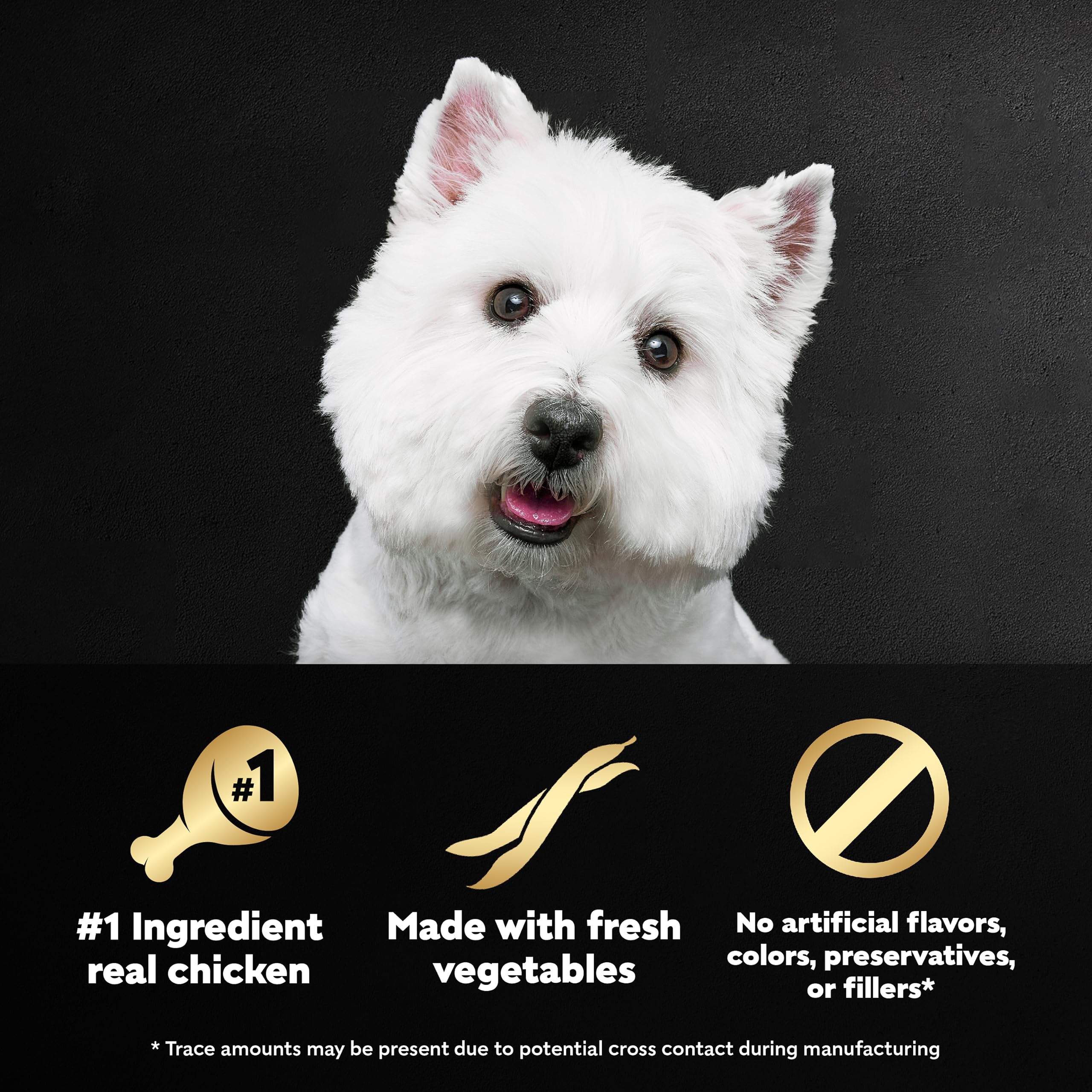 Cesar Wholesome Bowls Adult Wet Dog Food Variety Pack – Chicken & Sweet Potato, 6 Count