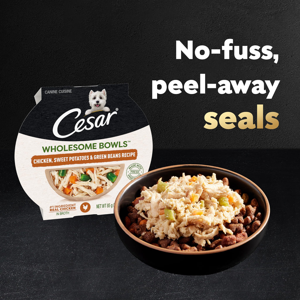 Cesar Wholesome Bowls Adult Wet Dog Food Variety Pack – Chicken & Sweet Potato, 6 Count