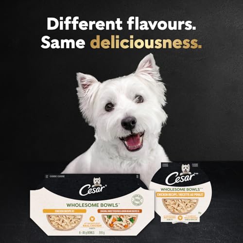 Cesar Wholesome Bowls Variety Pack Adult Wet Dog Food, Chicken & Beef Recipes, 6 Count, 3 oz Each