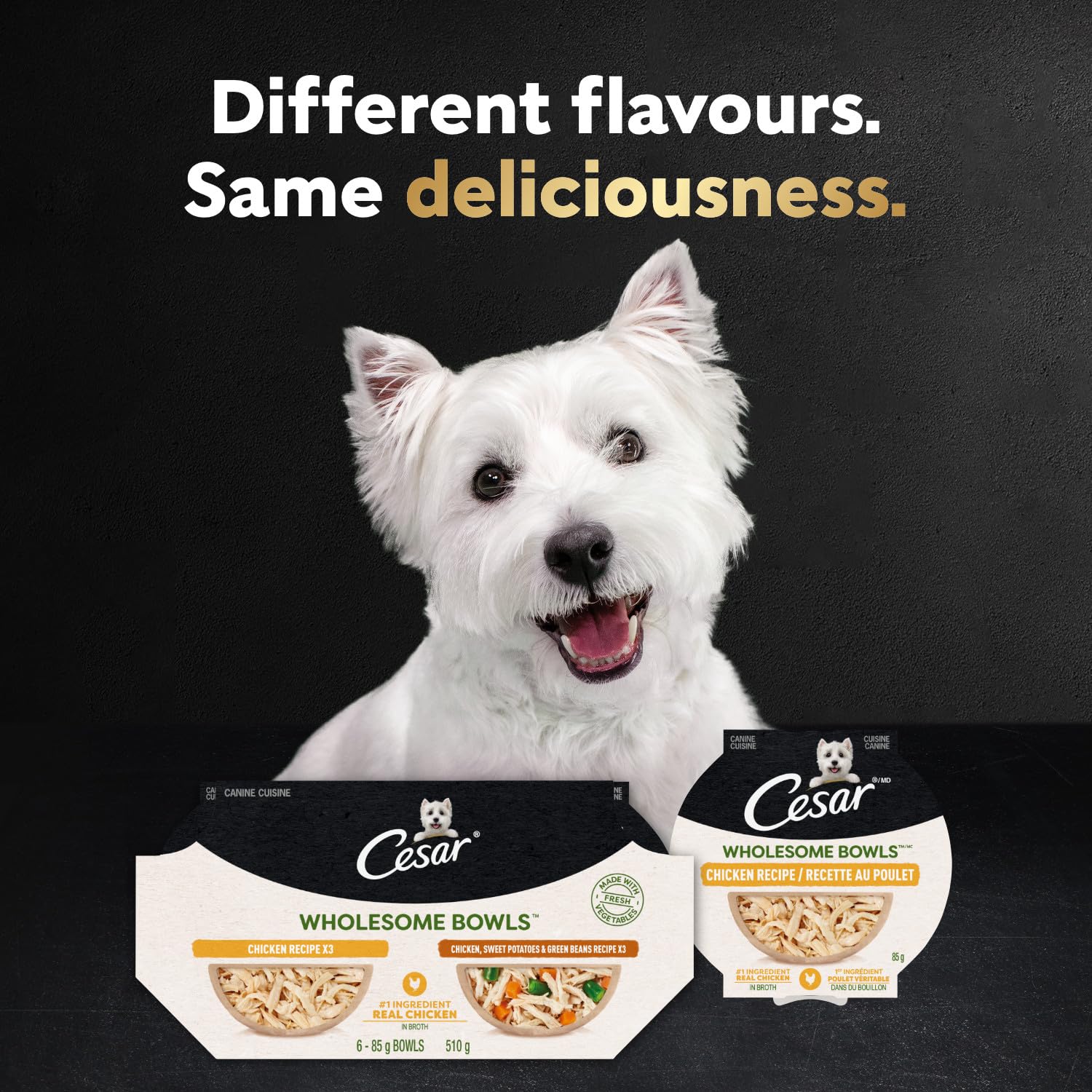 Cesar Wholesome Bowls Variety Pack Adult Wet Dog Food, Chicken & Beef Recipes, 6 Count, 3 oz Each