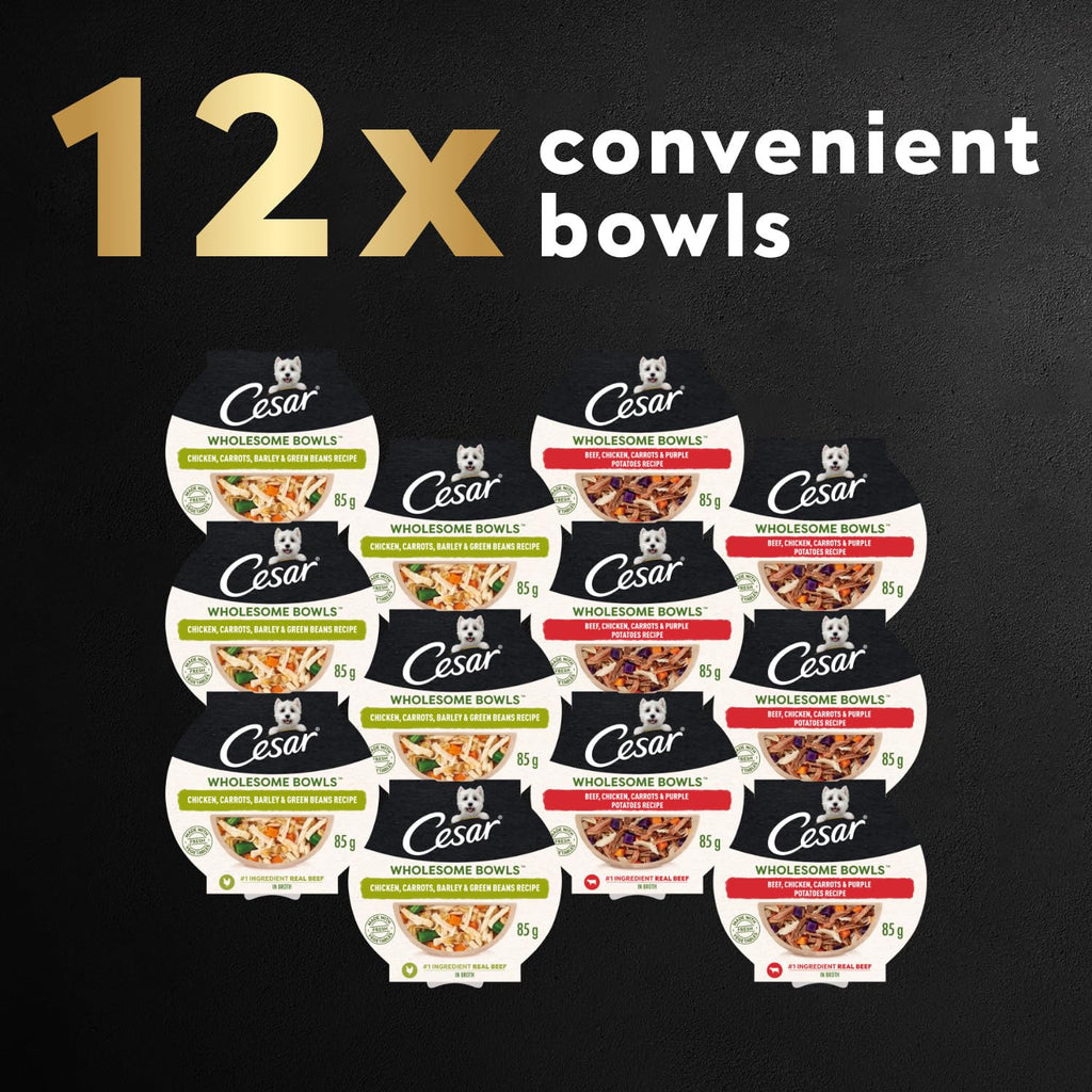 Cesar Wholesome Bowls Variety Pack Adult Wet Dog Food, Chicken & Beef Recipes, 6 Count, 3 oz Each