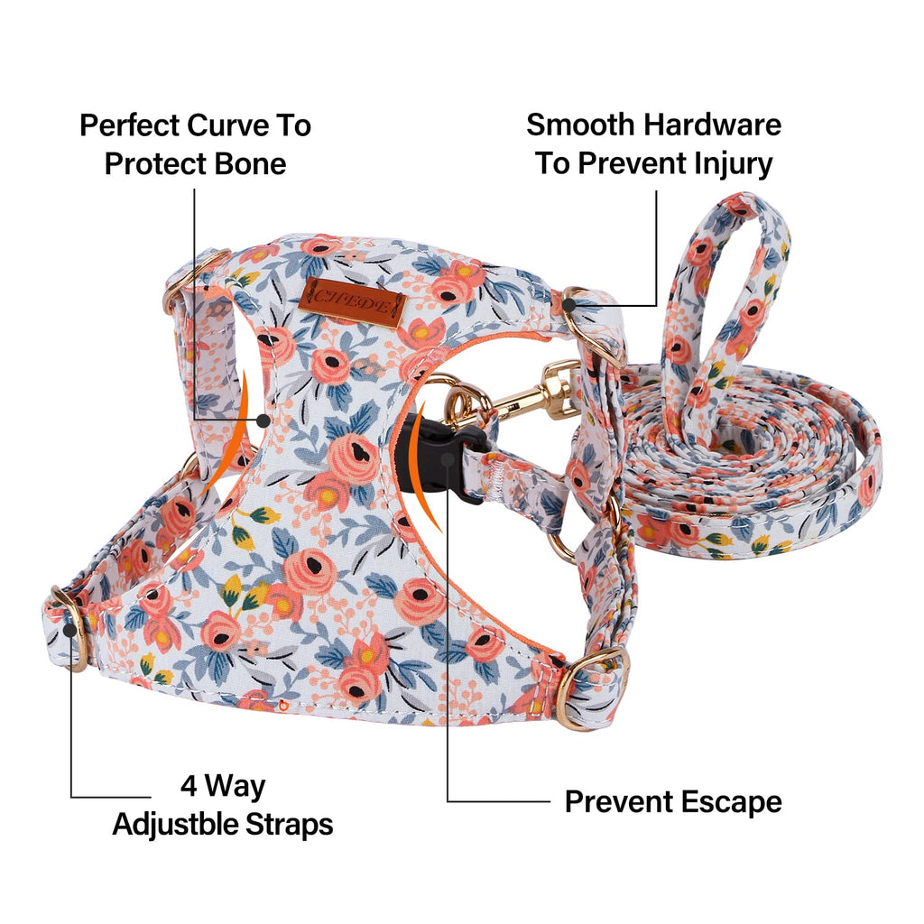 CHEDE Floral Dog Harness and Leash Set - Lightweight, Adjustable for Small Dogs, Orange Rose (Size S)