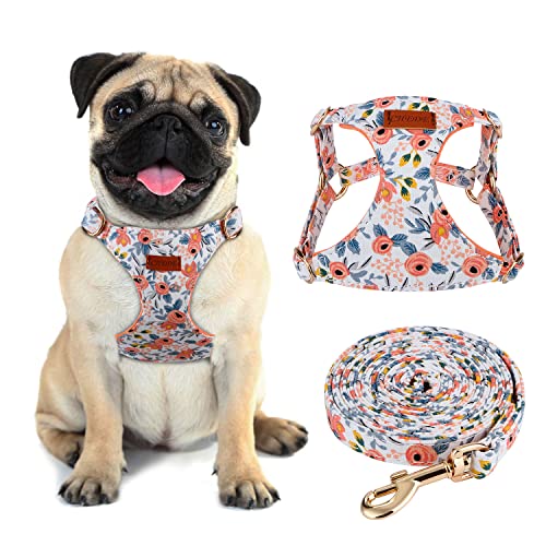 CHEDE Floral Dog Harness and Leash Set - Lightweight, Adjustable for Small Dogs, Orange Rose (Size S)
