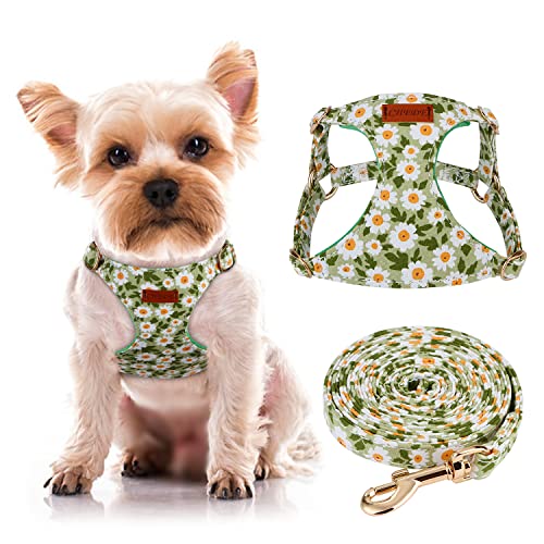 CHEDE No Pull Floral Dog Harness - Lightweight Adjustable Small Dog Harness and Leash Set (Green Daisy, XXS)