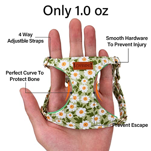 CHEDE No Pull Floral Dog Harness - Lightweight Adjustable Small Dog Harness and Leash Set (Green Daisy, XXS)