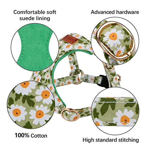 CHEDE No Pull Floral Dog Harness - Lightweight Adjustable Small Dog Harness and Leash Set (Green Daisy, XXS)