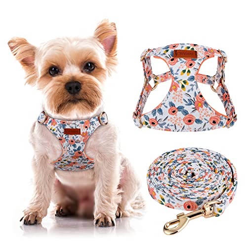 CHEDE No Pull Floral Dog Harness and Leash Set - Lightweight Adjustable Vest for Small Dogs (XS, Orange Rose)