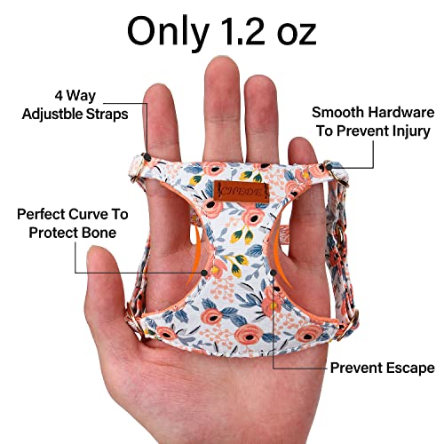 CHEDE No Pull Floral Dog Harness and Leash Set - Lightweight Adjustable Vest for Small Dogs (XS, Orange Rose)